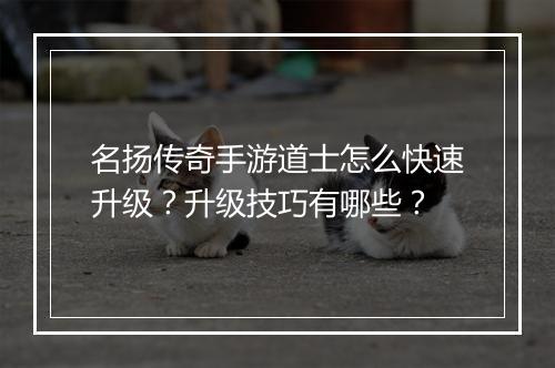 名扬传奇手游道士怎么快速升级？升级技巧有哪些？