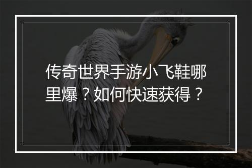 传奇世界手游小飞鞋哪里爆？如何快速获得？