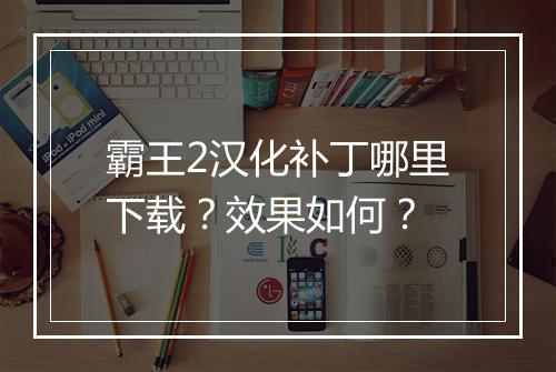 霸王2汉化补丁哪里下载？效果如何？