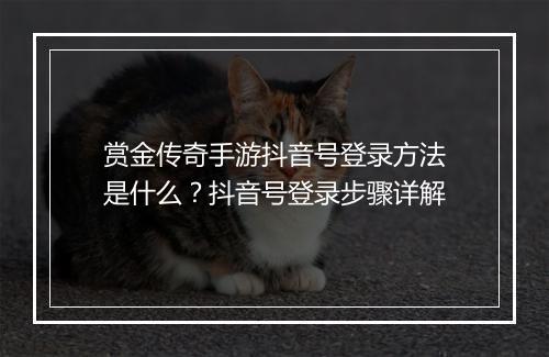 赏金传奇手游抖音号登录方法是什么？抖音号登录步骤详解