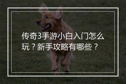 传奇3手游小白入门怎么玩？新手攻略有哪些？