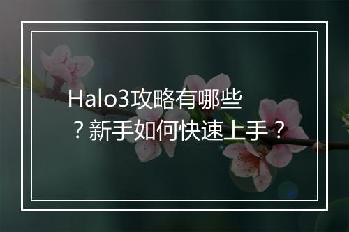 Halo3攻略有哪些？新手如何快速上手？