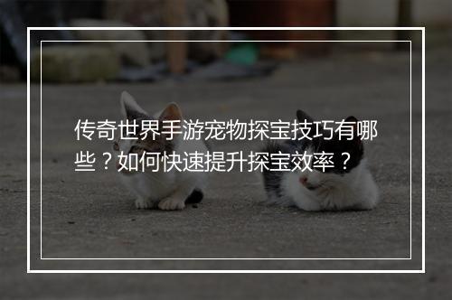 传奇世界手游宠物探宝技巧有哪些？如何快速提升探宝效率？