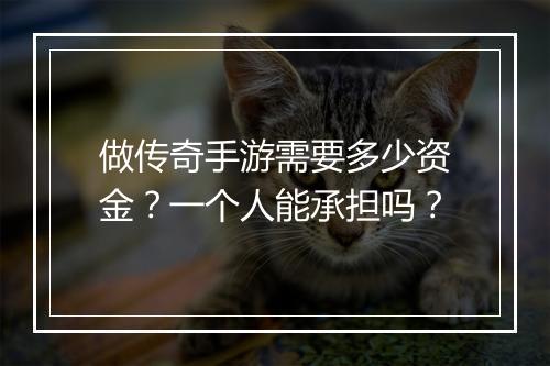 做传奇手游需要多少资金？一个人能承担吗？