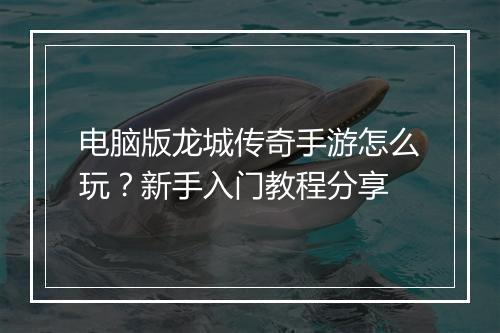 电脑版龙城传奇手游怎么玩？新手入门教程分享