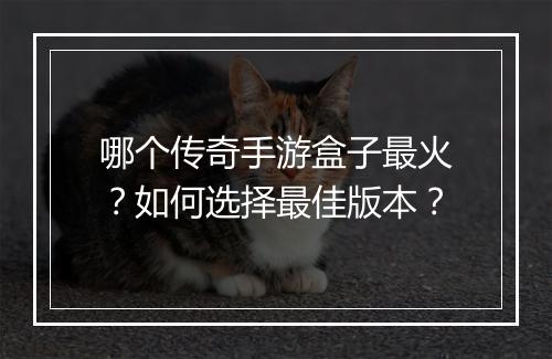哪个传奇手游盒子最火？如何选择最佳版本？