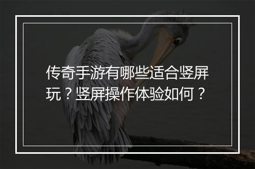 传奇手游有哪些适合竖屏玩？竖屏操作体验如何？