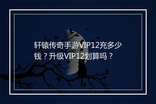 轩辕传奇手游VIP12充多少钱？升级VIP12划算吗？