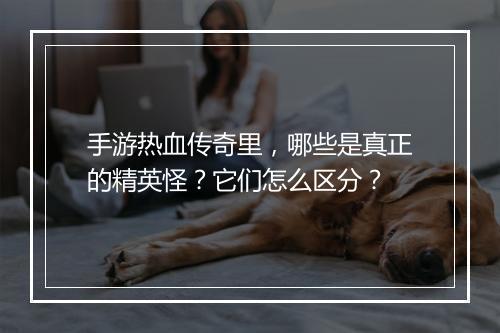 手游热血传奇里，哪些是真正的精英怪？它们怎么区分？