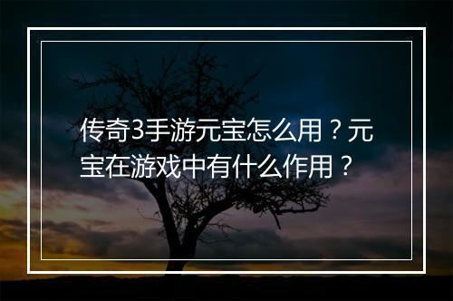 传奇3手游元宝怎么用？元宝在游戏中有什么作用？