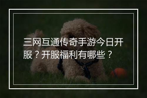 三网互通传奇手游今日开服？开服福利有哪些？
