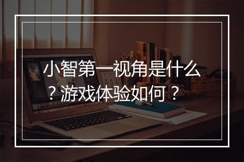 小智第一视角是什么？游戏体验如何？