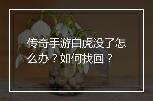 传奇手游白虎没了怎么办？如何找回？