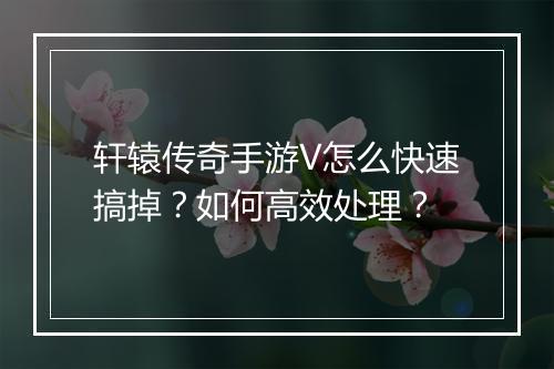 轩辕传奇手游V怎么快速搞掉？如何高效处理？