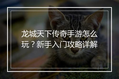 龙城天下传奇手游怎么玩？新手入门攻略详解