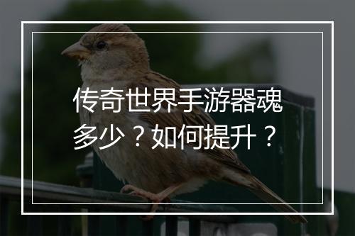传奇世界手游器魂多少？如何提升？