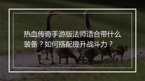 热血传奇手游版法师适合带什么装备？如何搭配提升战斗力？