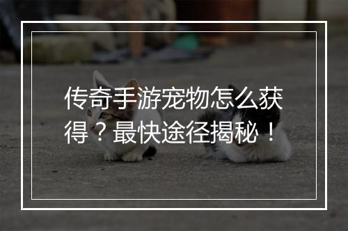 传奇手游宠物怎么获得？最快途径揭秘！