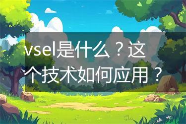 vsel是什么？这个技术如何应用？