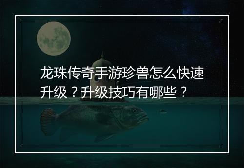 龙珠传奇手游珍兽怎么快速升级？升级技巧有哪些？