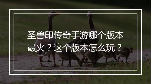 圣兽印传奇手游哪个版本最火？这个版本怎么玩？