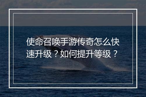 使命召唤手游传奇怎么快速升级？如何提升等级？