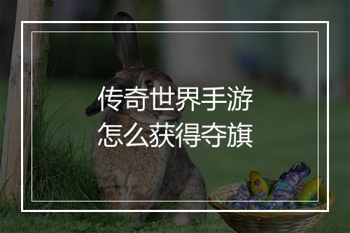 传奇世界手游怎么获得夺旗