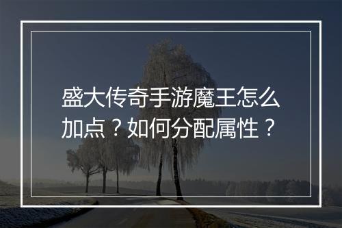 盛大传奇手游魔王怎么加点？如何分配属性？
