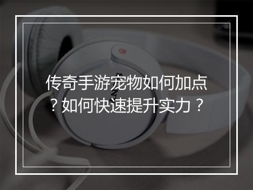 传奇手游宠物如何加点？如何快速提升实力？