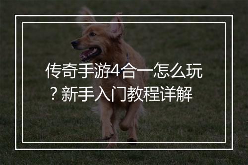 传奇手游4合一怎么玩？新手入门教程详解