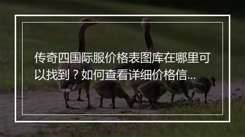 传奇四国际服价格表图库在哪里可以找到？如何查看详细价格信息？