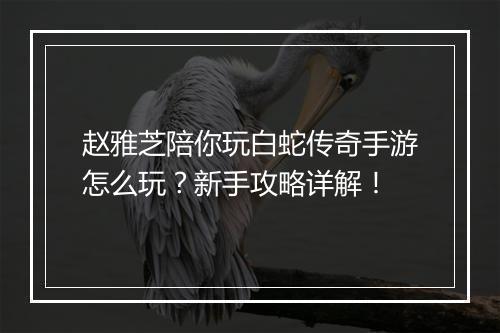赵雅芝陪你玩白蛇传奇手游怎么玩？新手攻略详解！