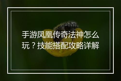 手游凤凰传奇法神怎么玩？技能搭配攻略详解