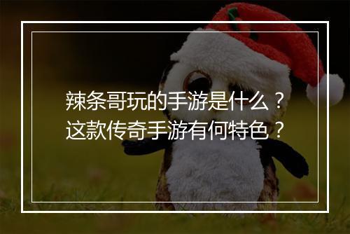 辣条哥玩的手游是什么？这款传奇手游有何特色？