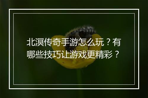 北溟传奇手游怎么玩？有哪些技巧让游戏更精彩？