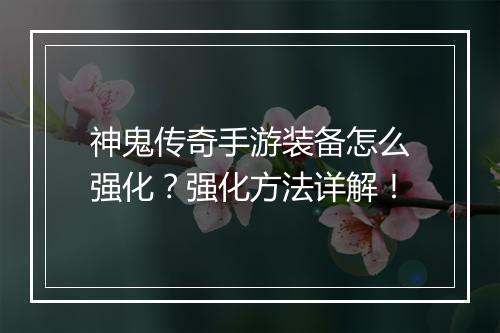 神鬼传奇手游装备怎么强化？强化方法详解！