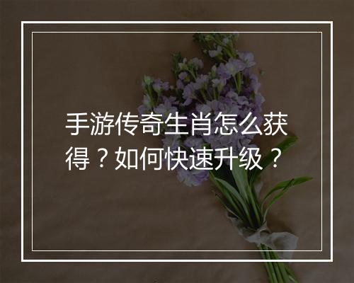 手游传奇生肖怎么获得？如何快速升级？
