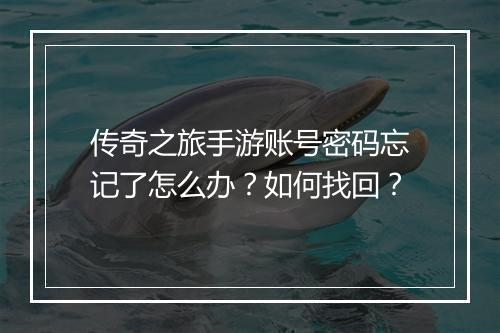 传奇之旅手游账号密码忘记了怎么办？如何找回？