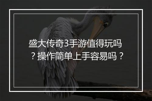 盛大传奇3手游值得玩吗？操作简单上手容易吗？