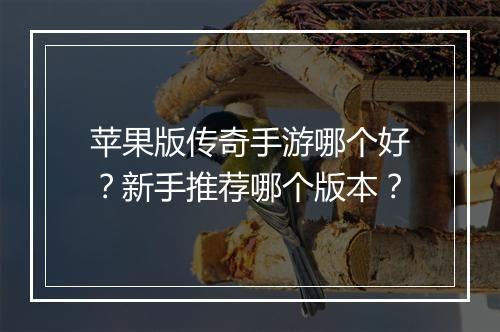苹果版传奇手游哪个好？新手推荐哪个版本？