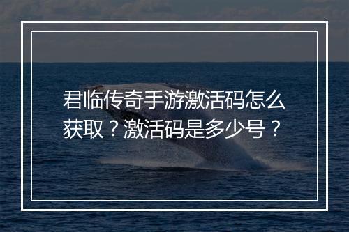 君临传奇手游激活码怎么获取？激活码是多少号？