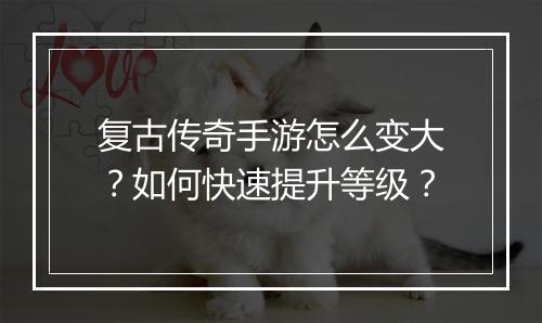 复古传奇手游怎么变大？如何快速提升等级？