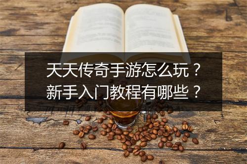 天天传奇手游怎么玩？新手入门教程有哪些？