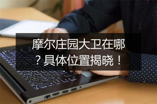 摩尔庄园大卫在哪？具体位置揭晓！