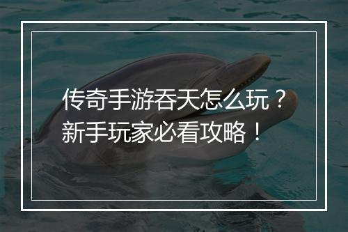 传奇手游吞天怎么玩？新手玩家必看攻略！