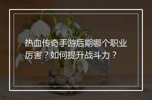 热血传奇手游后期哪个职业厉害？如何提升战斗力？