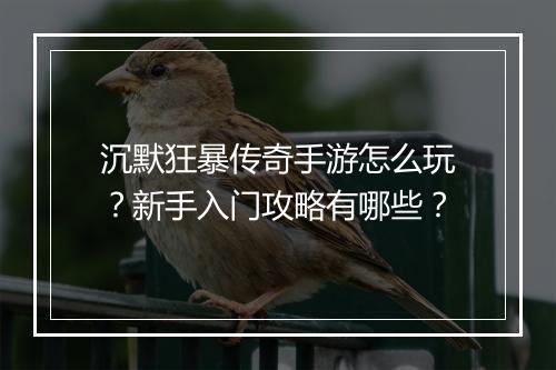 沉默狂暴传奇手游怎么玩？新手入门攻略有哪些？