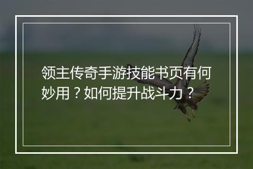 领主传奇手游技能书页有何妙用？如何提升战斗力？