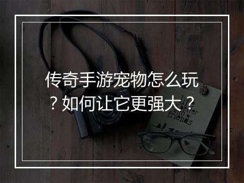 传奇手游宠物怎么玩？如何让它更强大？