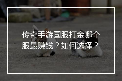 传奇手游国服打金哪个服最赚钱？如何选择？